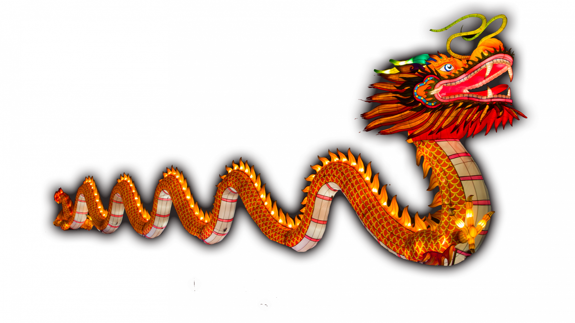 China lights dragon